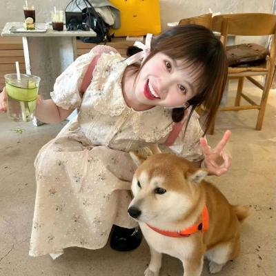 戴洛奇小镇第一季